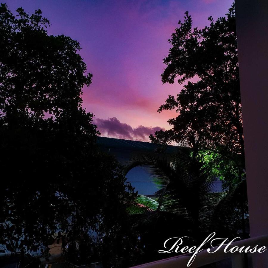 Reef Guest House マレ エクステリア 写真