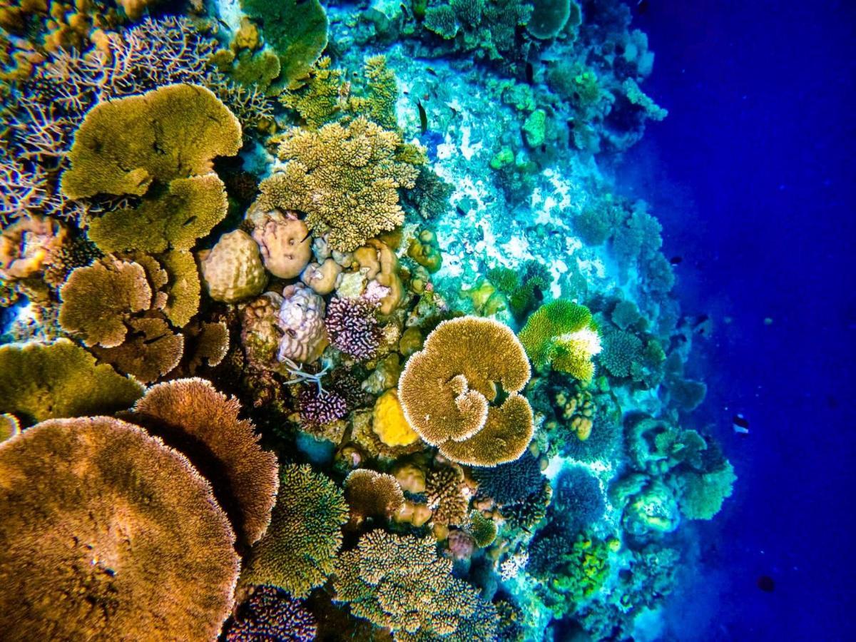 Reef Guest House マレ エクステリア 写真